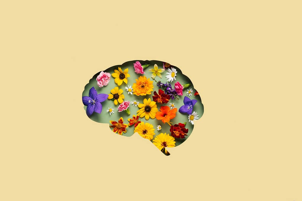 Diferenças entre deficiência, transtorno e variação neurológica