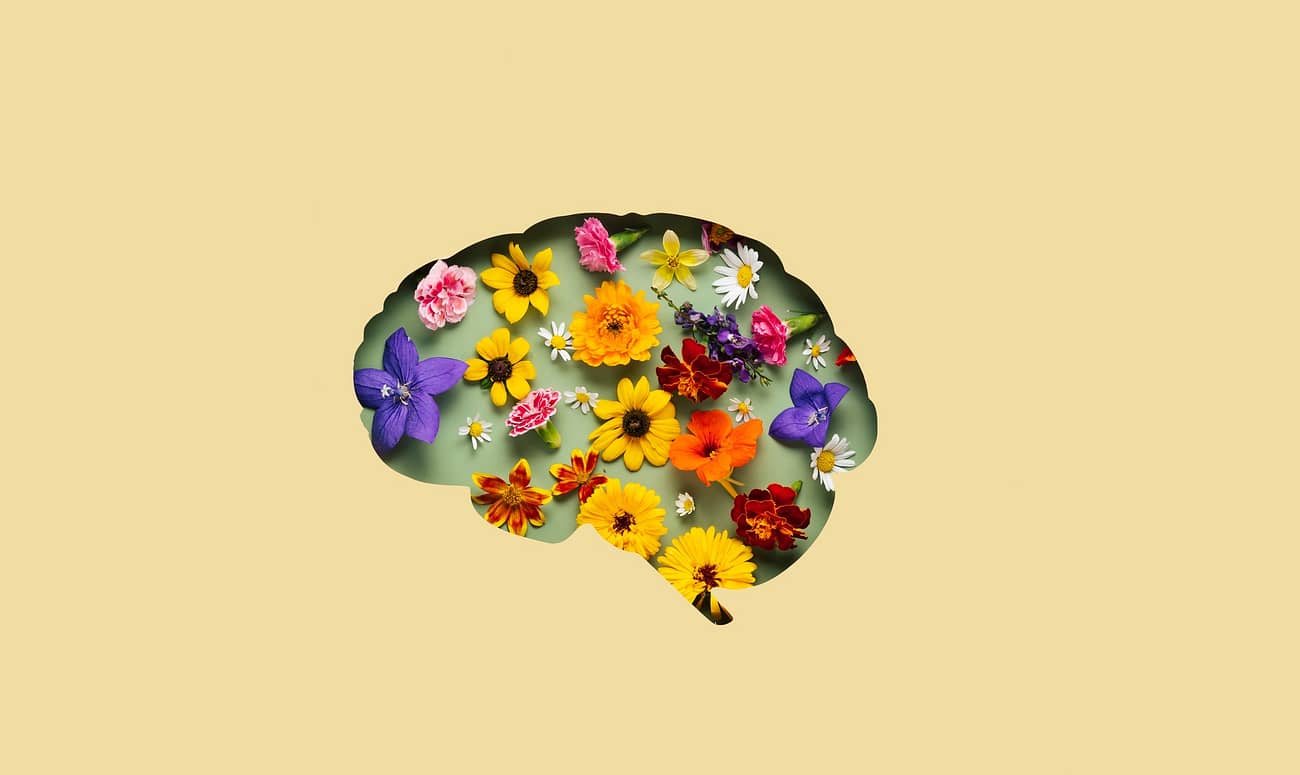 Diferenças entre deficiência, transtorno e variação neurológica